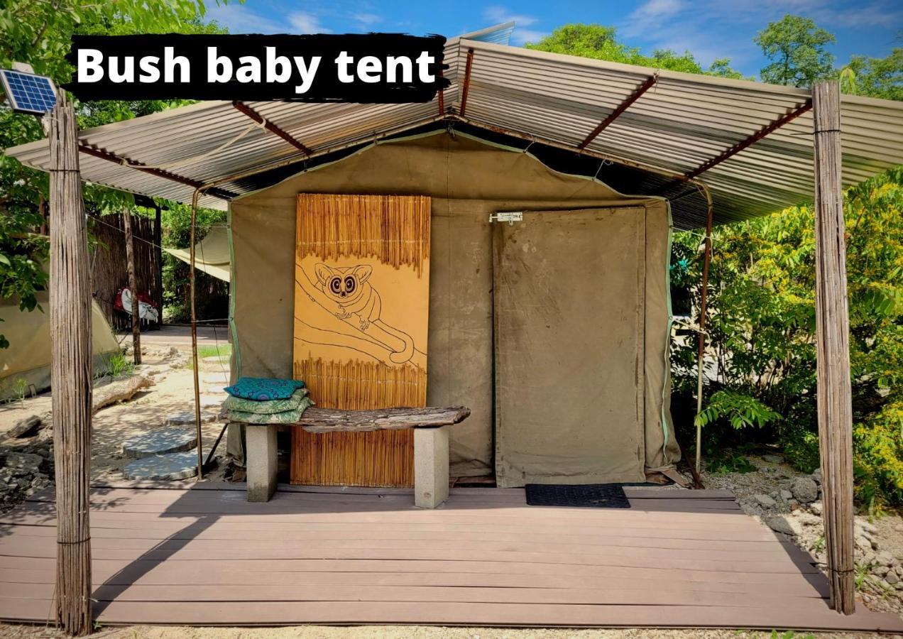Хостел Eselbe Camp Backpackers Nata Екстер'єр фото